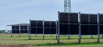 Zonnepanelen op een veld geplaatst 